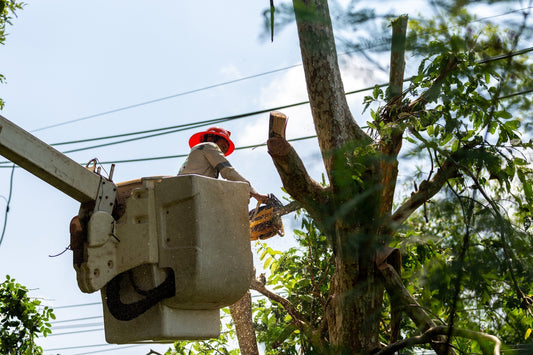 The Outdoor Worker
