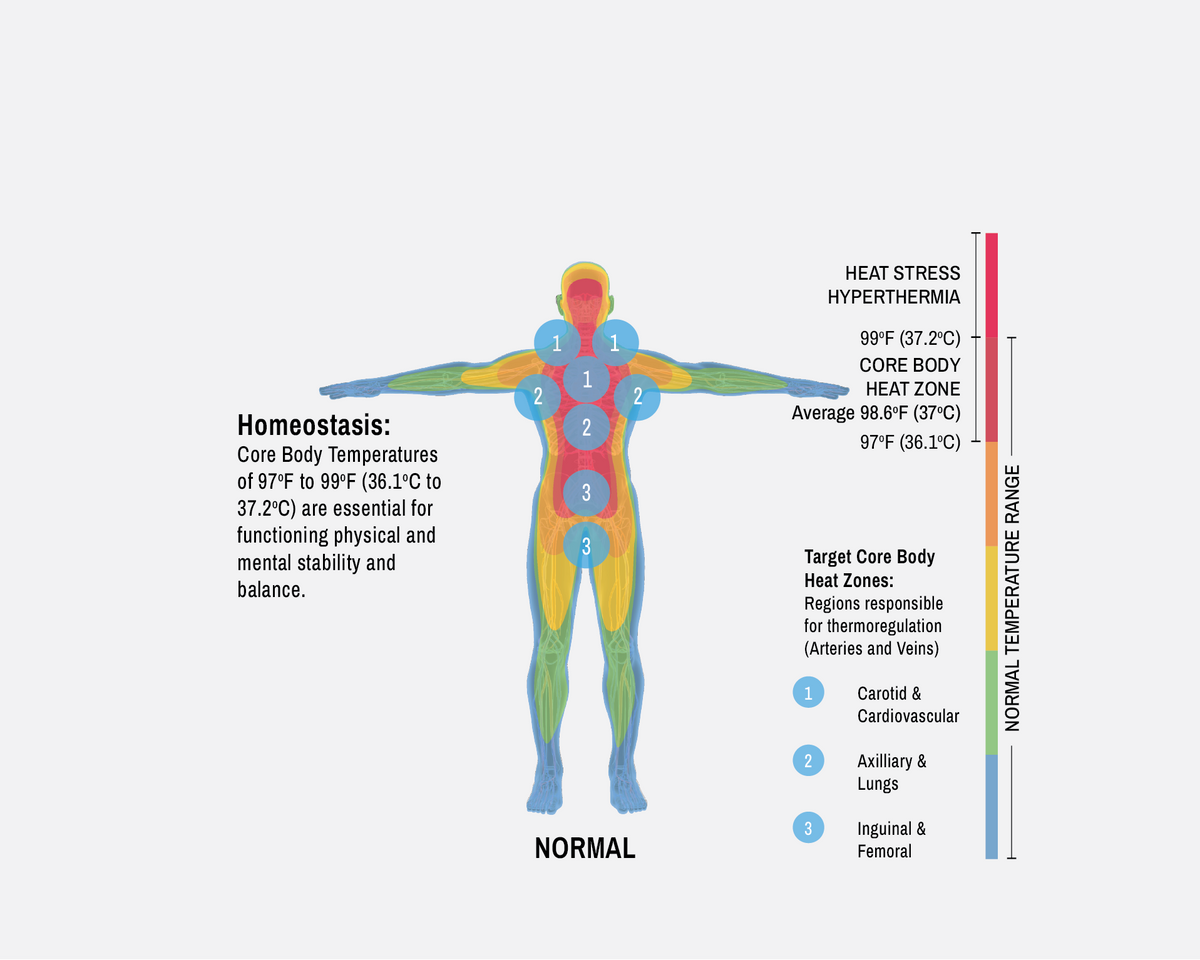 KrazyKoolTech educational infographic diagram illustrating human body temperature zones and homeostasis. The graphic features a human silhouette with color-coded heat zones (1, 2, 3, and 4) and text explaining core body temperatures, heat stress hyperthermia, and target core body heat zones, set against a clean white background.